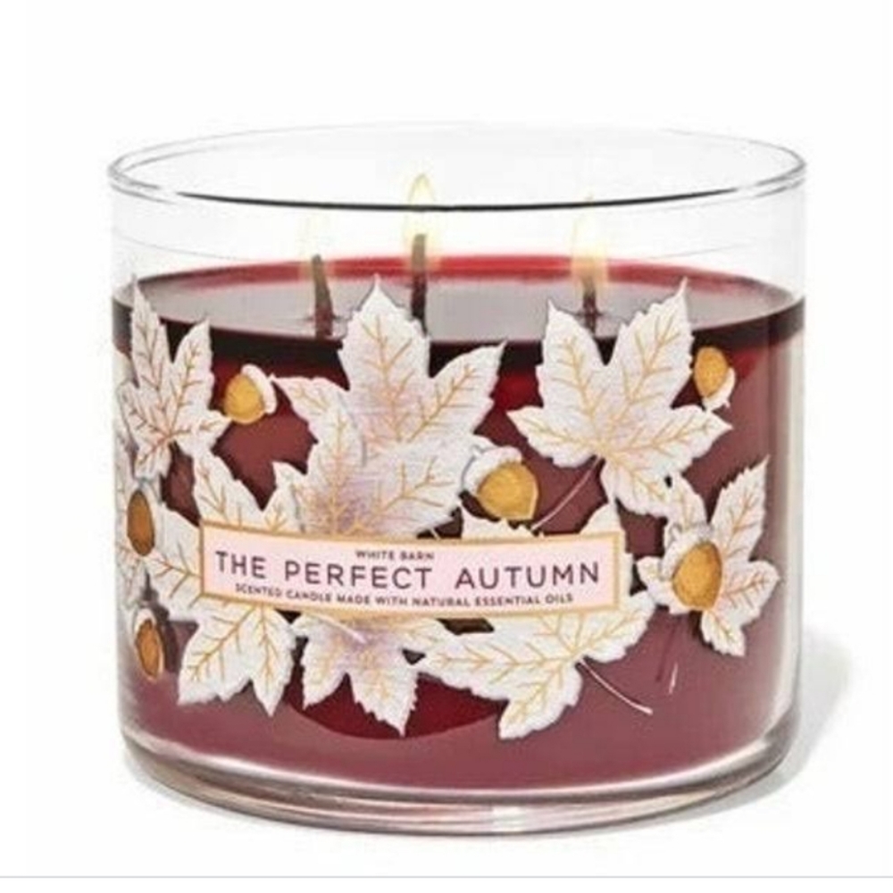 🍎 The Perfect Autumn 3 Wick Candle